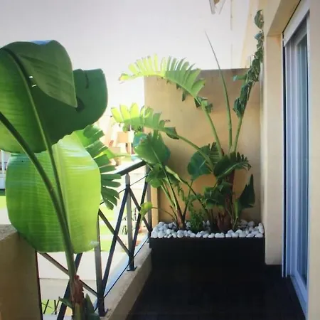 Apartamento En Casas Del Mar Oliva